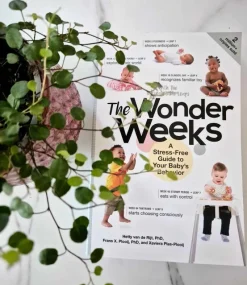 Tradera The Wonder Weeks - En bok om barnets olika utvecklingsfaser> Graviditets- & Barnböcker