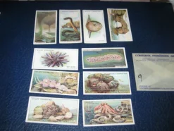 Tradera Tobakiana<Tobakskort