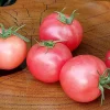 Tradera Växter & Frön<Tomat 'DWARF PINK OPAL'/ rosa stor körsbärstomat / tomatfrö