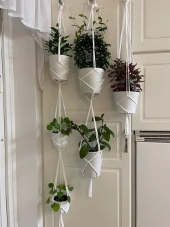 Tradera Krukor & Odlingssystem<Tre styck amplar för 6 krukor/ växter, plantor