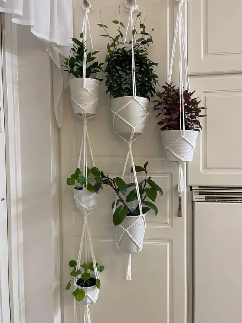 Tradera Krukor & Odlingssystem<Tre styck amplar för 6 krukor/ växter, plantor