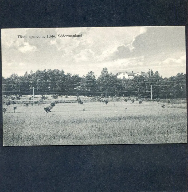 Tradera Svenska Landskap<Tösta Egendom Hölö Foto Sorbon gissar 1920tal
