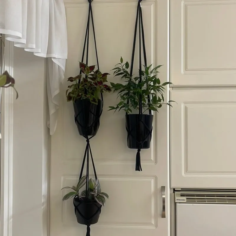 Tradera Krukor & Odlingssystem<Två amplar för 3 krukor/ växter, plantor (13-15 cm)