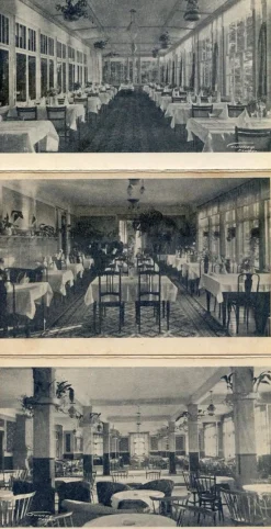 Tradera Svenska Landskap<Tynäs 5kort från nöjespalatset trol. 1920tal därav 3 interiörer från salongerna