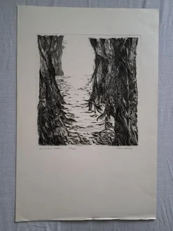 Tradera URSULA SCHÜTZ signerad ETSNING ^ Grafik & Teckningar