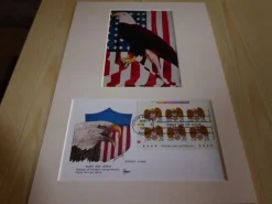 Tradera USA Bald Eagle fotografi & förstadagsbrev med passepartout storlek A4^ Nordamerika
