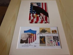 Tradera USA Bald Eagle fotografi & förstadagsbrev med passepartout storlek A4^ Nordamerika