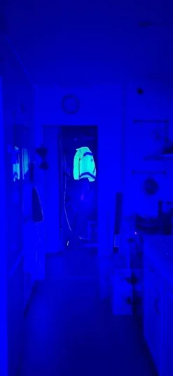 Tradera Camping & Hiking<UV- Mycket kraftig UV-light torch.