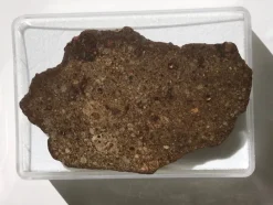 Tradera Vacker slipad skiva av meteorit - Northwest Africa 14912 - Kondrit LL3-6 - 42g> Arkeologi