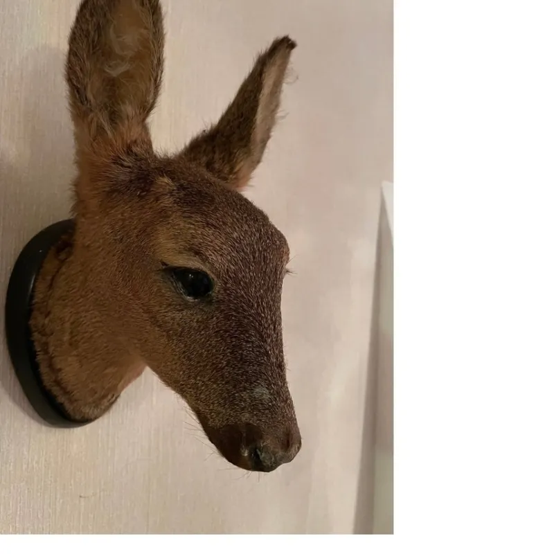 Tradera Jakt<Vackert litet rådjur