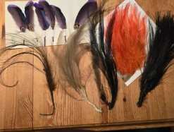 Tradera Vintage hattfjädrar> Kuriosa