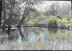 Tradera Svenska Landskap<Vira Bruk - Bruksdammen (Österåker) Förlag Stiftelsen Vira Bruk