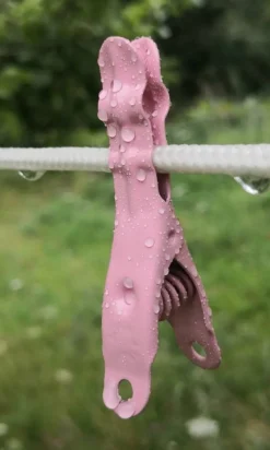 Tradera Övrigt Till Trädgård<Världens bästa klädnypor i rostfritt stål med 20 års garanti - 30 ST ROSA