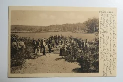 Tradera Allmänna Motiv<Vykort från Nääs