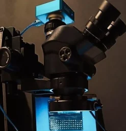 Tradera 3,5-100X 55MP 2K 4K trinokulär mikroskopkamera med HDMI och USB2.0 utgång^ Mikroskop